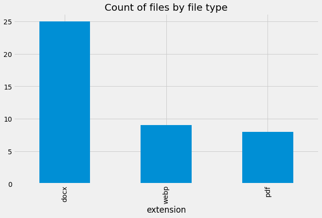 File count by extension